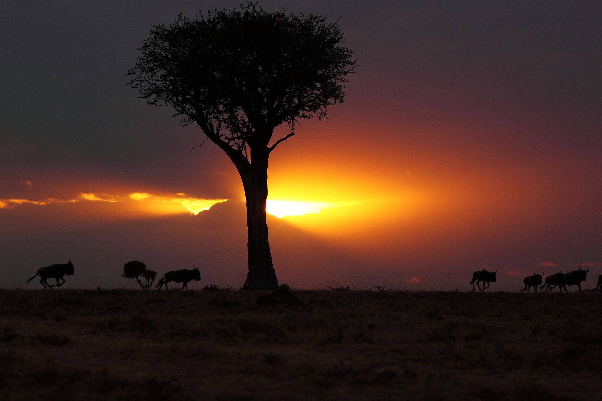 Loyk Mara Luxury Camp Hotel Maasai Mara Exterior photo